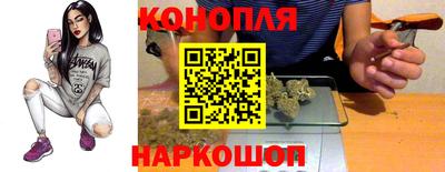гидропоника Будённовск