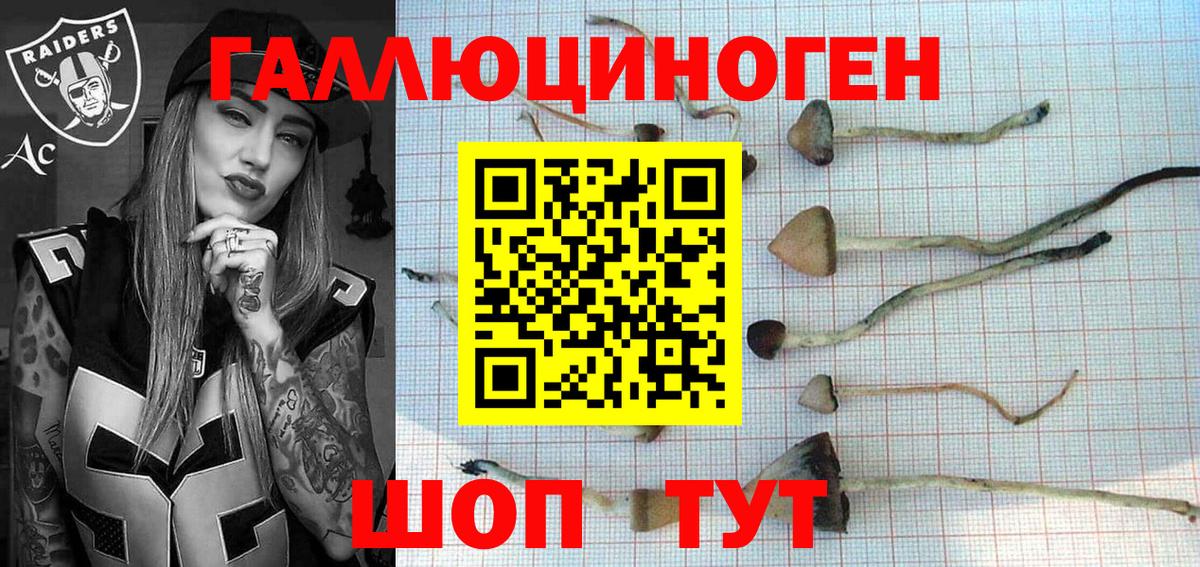 Псилоцибиновые грибы Magic Shrooms  Псилоцибиновые грибы прущие грибы  сколько стоит  Вход с VPN  Котельники 